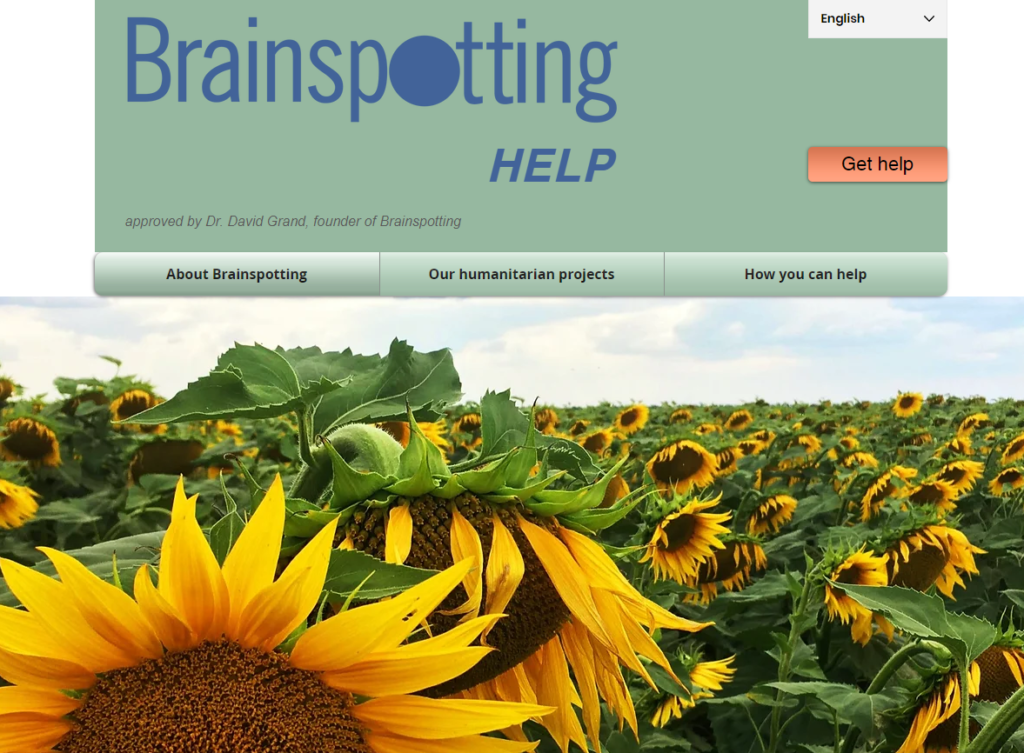 Homepage BSP Help, Sunflowerfield