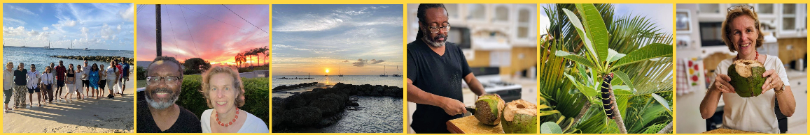 Collage aus sechs Fotos von Strand, Menschen, Kokosnüssen und einer Riesenraupe