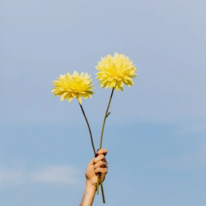 eine Frauenhand hält zwei gelbe Blumen in die Höhe, vor blauem Himmel-Hintergrund